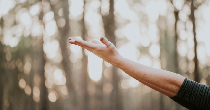 Male Hormone Optimization